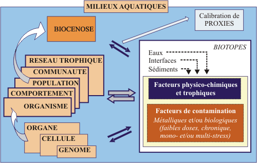 Système conceptuel